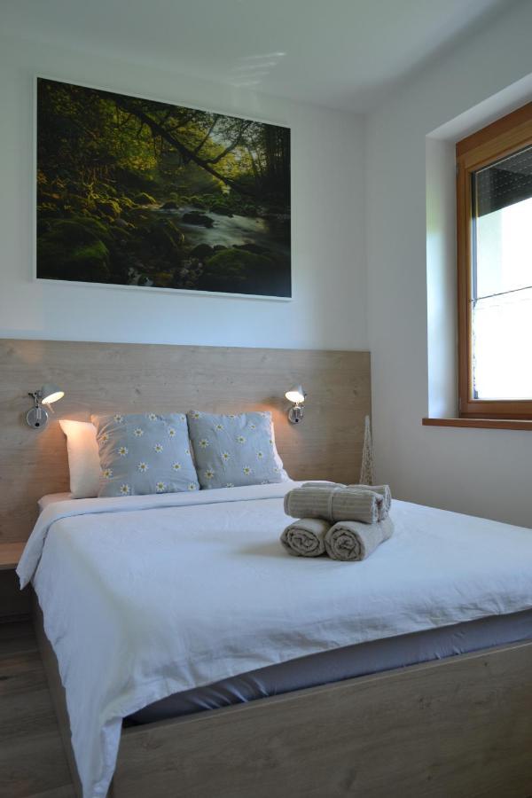 Apartament Apartma Vodnik *